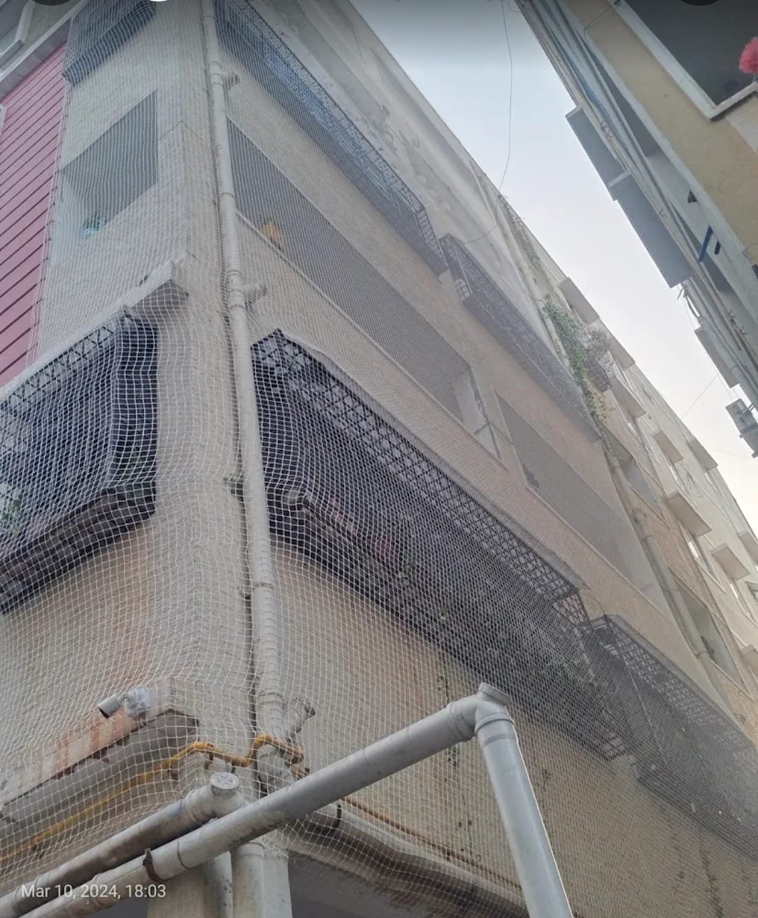 Pigeon Safety Nets Installation Services in Guntur