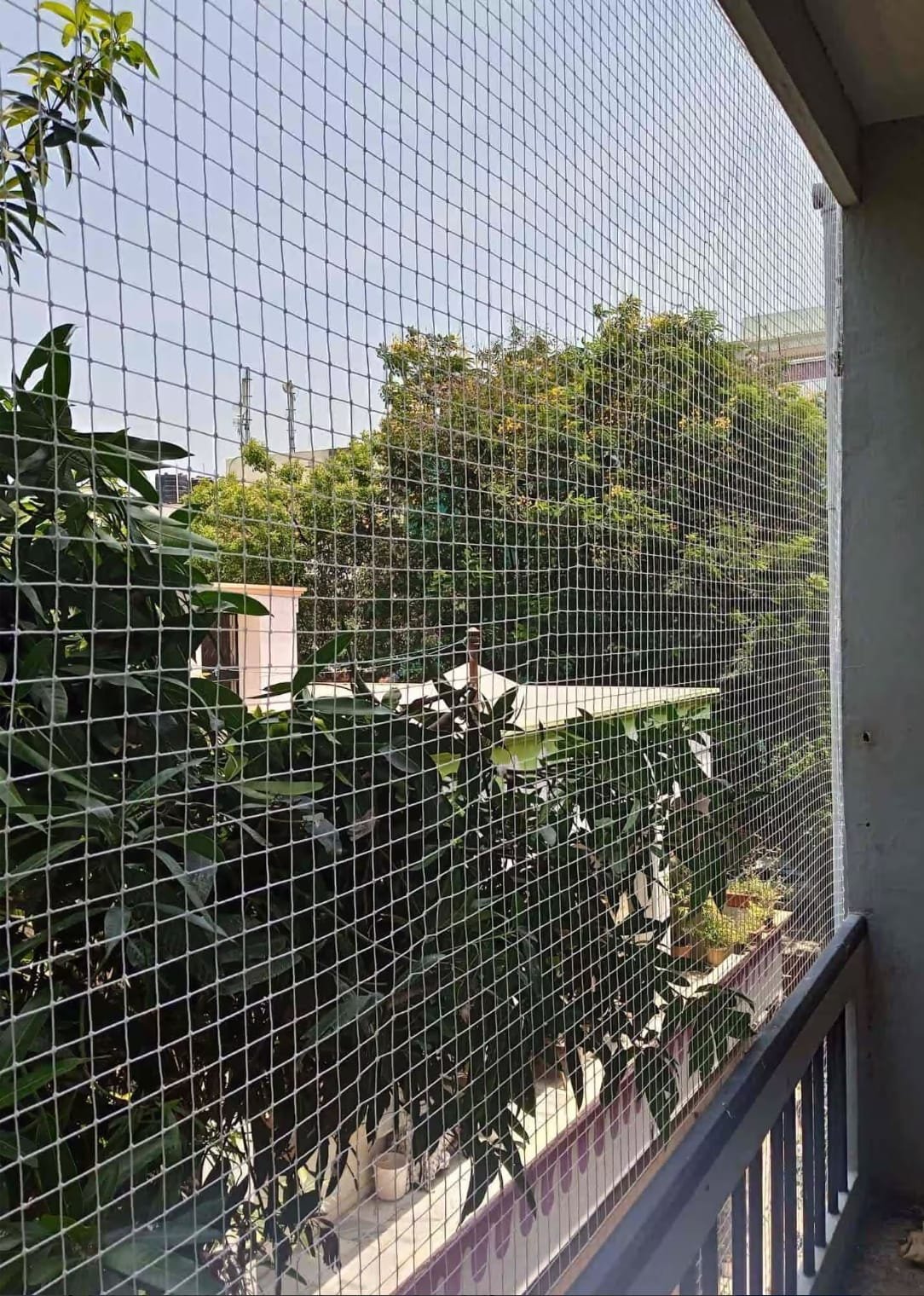 Safety Nets and Pigeon Nets Installation Services in Guntur